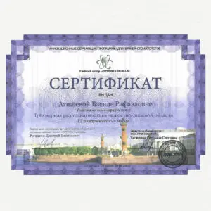 Agisheva_cert_11