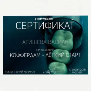 Agisheva_cert_12